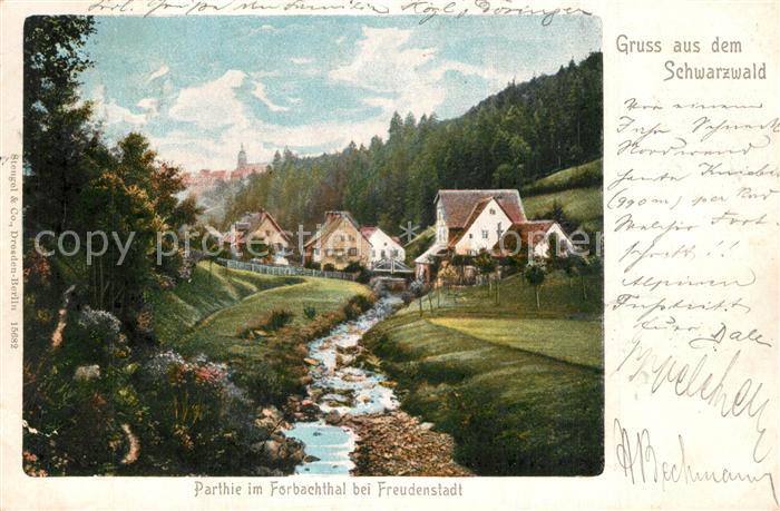 FREUDENSTADT BW Forbachtal Panorama