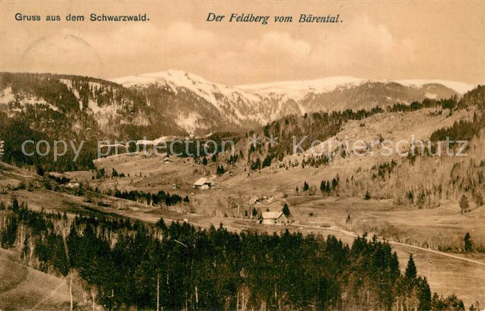 Feldberg Schwarzwald Panorama