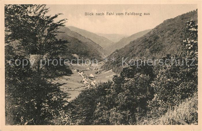 Fahl Feldberg Panorama