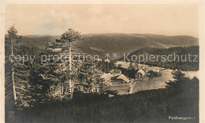 Feldberg Schwarzwald Feldbergerhof
