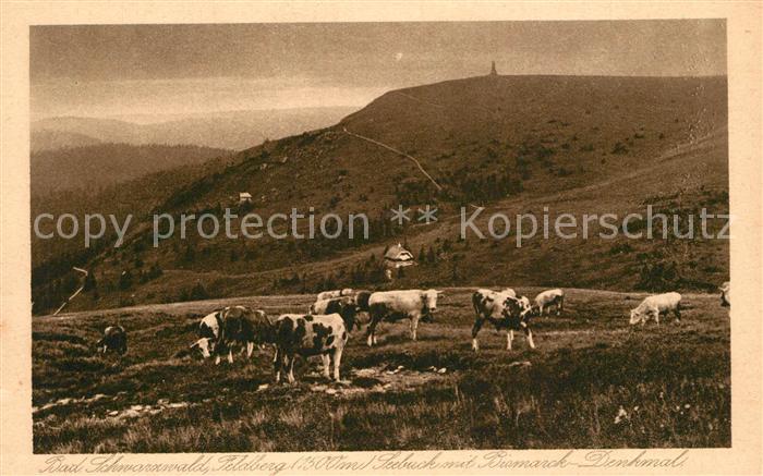 Feldberg Schwarzwald Seebuck Bismarck Denkmal Kuhweide