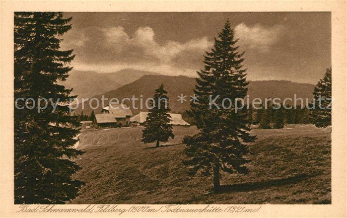 Feldberg Schwarzwald Todtnauerhuette