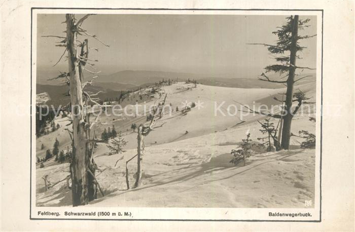 Feldberg Schwarzwald Baldenwegerbuck Winterlandschaft