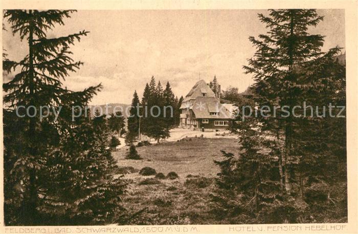 Feldberg Schwarzwald Hotel Pension Hebelhof