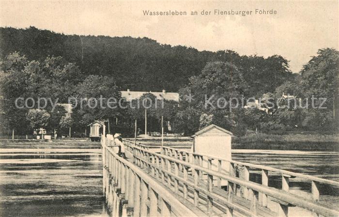 Wassersleben Flensburger Foehrde Panorama