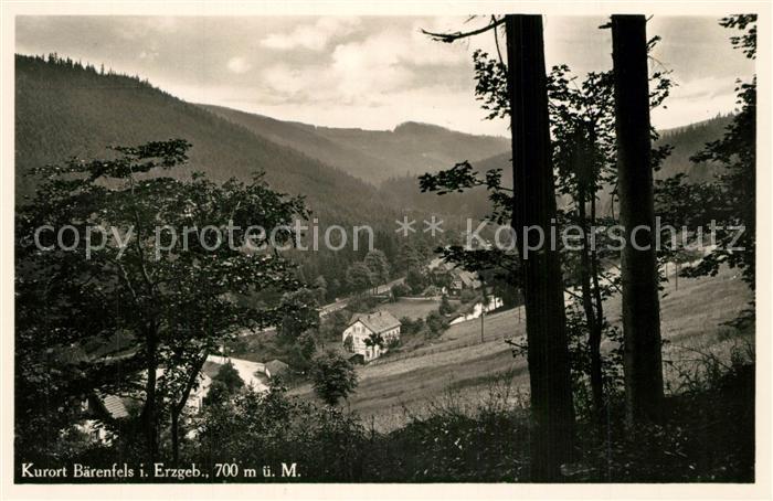Baerenfels Erzgebirge Panorama