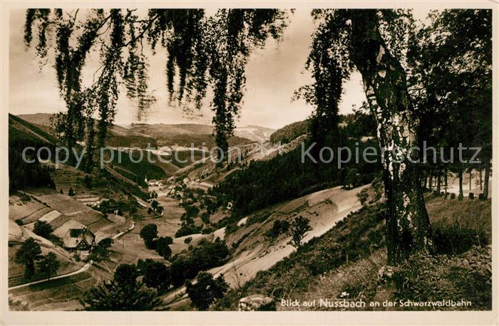 Nussbach Schwarzwald an der Schwarzwaldbahn