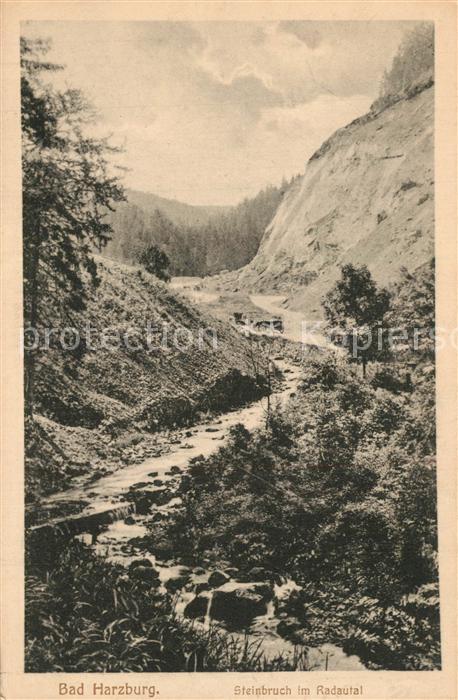 Bad Harzburg Steinbruch im Radautal