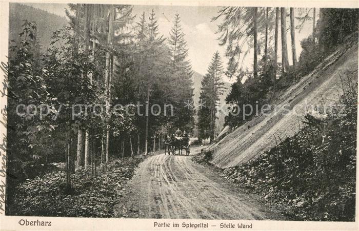 Oberharz Region Spiegeltal Steile Wand
