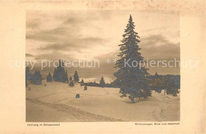 Herzogenhorn Feldberg