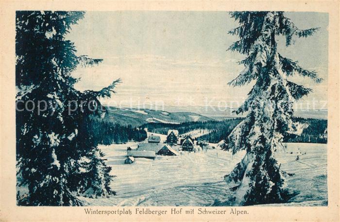 Feldberg Schwarzwald Feldbergerhot mit Alpenkette