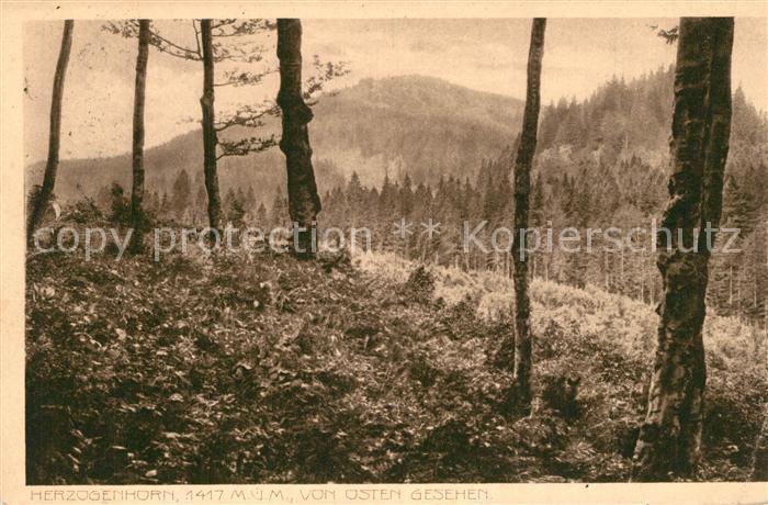 Herzogenhorn