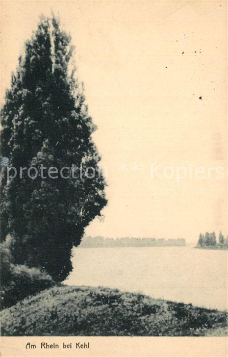 Kehl Rhein Rheinpartie