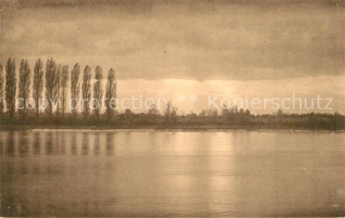 Kehl Rhein Rheinpartie