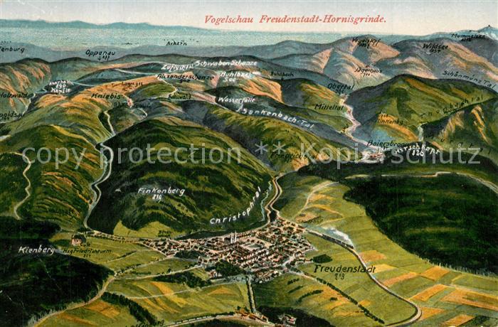 FREUDENSTADT BW Hornisgrinde Vogelschau