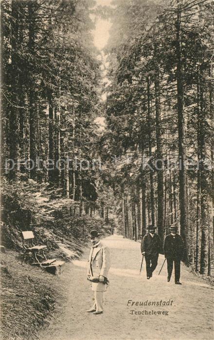 FREUDENSTADT BW Teucheleweg