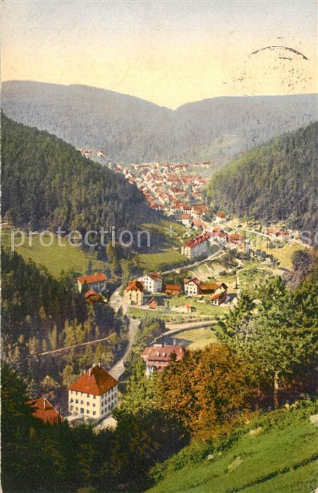 Triberg Schwarzwald Blick vom Hohnen