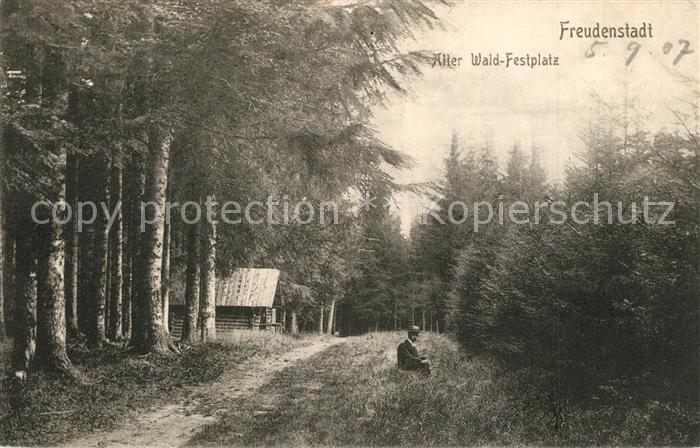 FREUDENSTADT BW Waldpartie