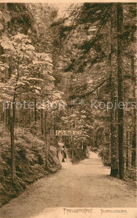 FREUDENSTADT BW Teuchelesweg