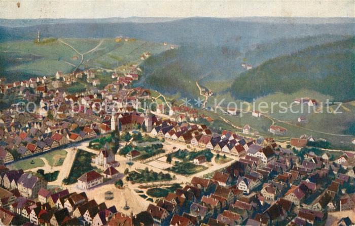 FREUDENSTADT BW Vogelschau