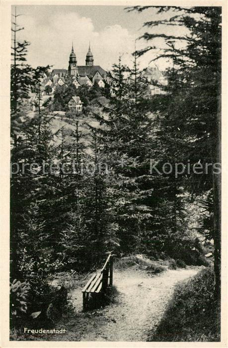 Freiburg Breisgau Waldpartie