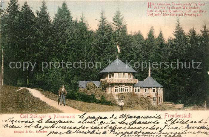 FREUDENSTADT BW Caf? Stokinger im Palmenwald