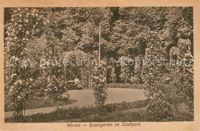 Worms Rhein Rosengarten im Stadtpark