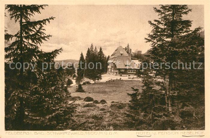 Feldberg Schwarzwald Hotel Pension Helbelhof