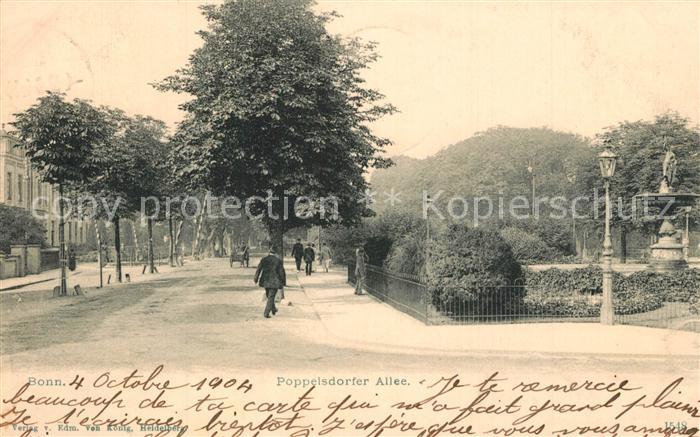 Bonn Rhein Poppelsdorfer Allee