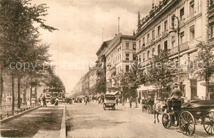 BERLIN  CITY Unter den Linden Pferdekutschen