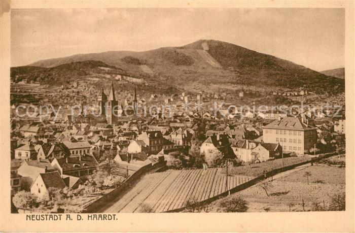 Neustadt Haardt Fliegeraufnahme
