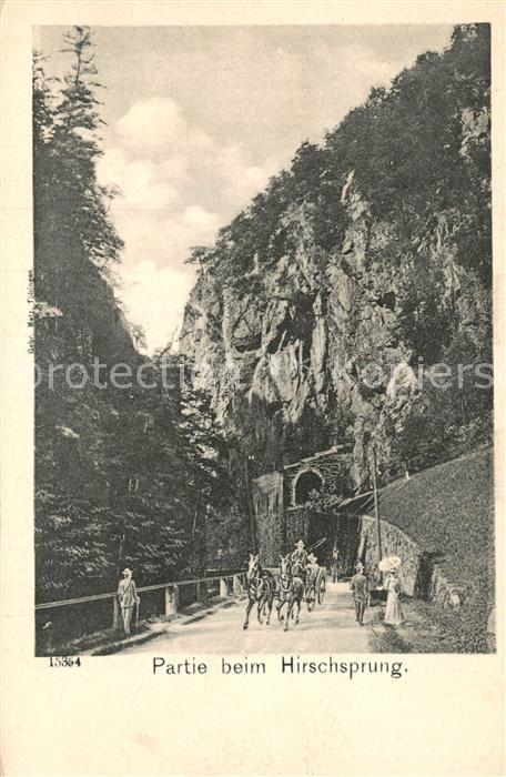 Hirschsprung Schwarzwald mit Pferdekutsche