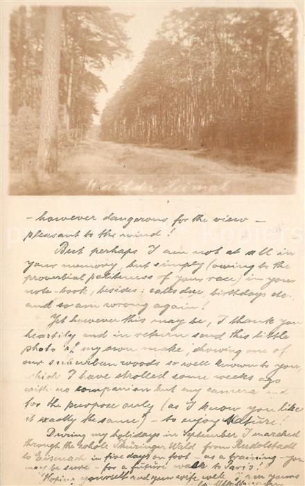 BERLIN  CITY Waldpartie