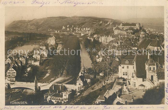 T?bingen Fliegeraufnahme Flusspartie