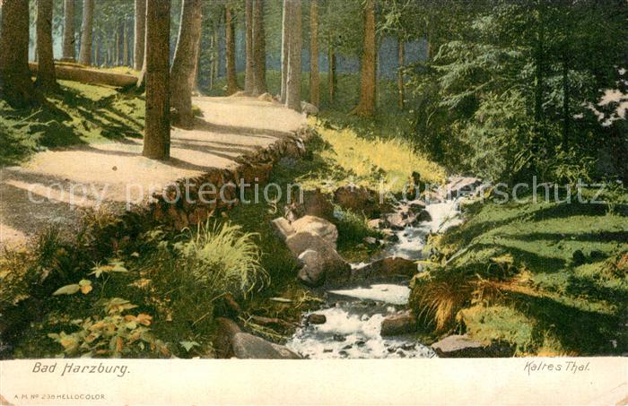 Bad Harzburg Waldpartie