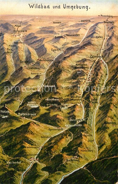 Wildbad Schwarzwald Panoramakarte