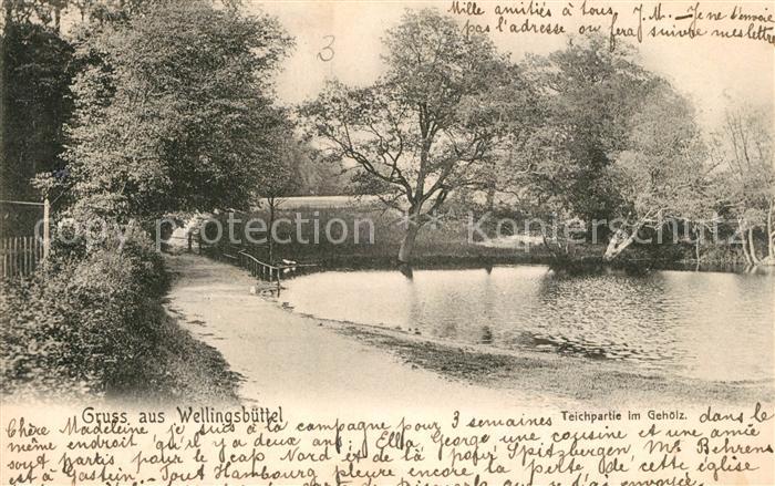 Wellingsb?ttel Parkanlage