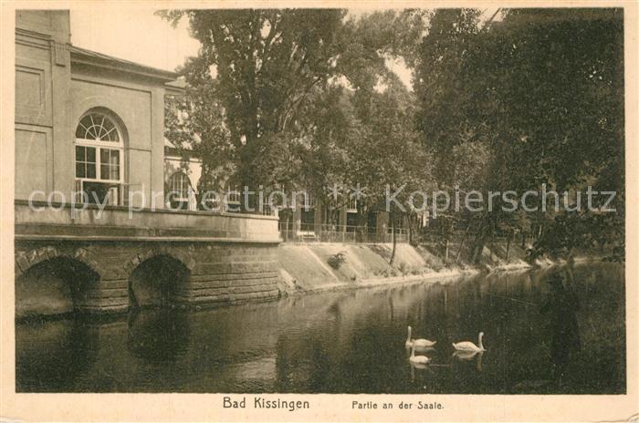 Bad Kissingen Saalepartie