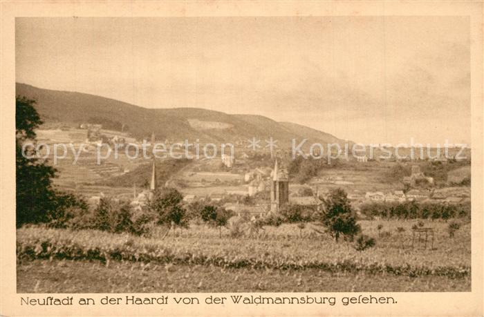 Neustadt Haardt Blick von der Waldmannsburg