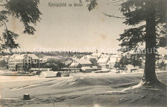Koenigsfeld Schwarzwald Winterpanorama
