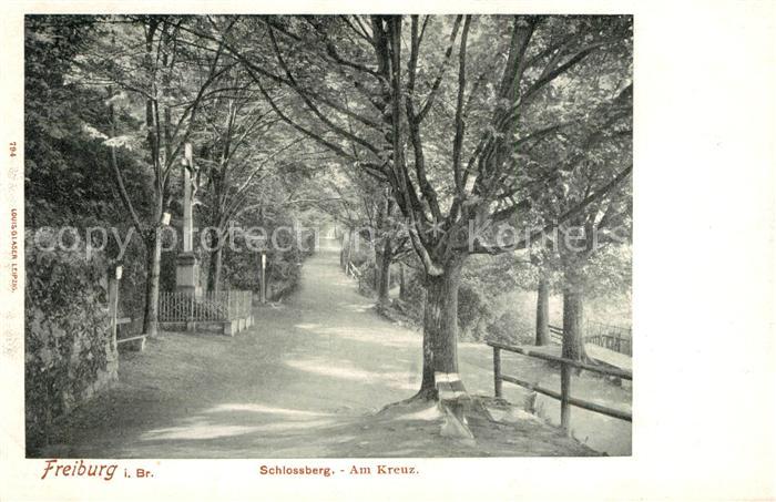 Freiburg Breisgau Schlossberg Partie am Kreuz