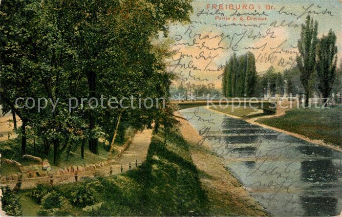 Freiburg Breisgau Partie an der Dreisam