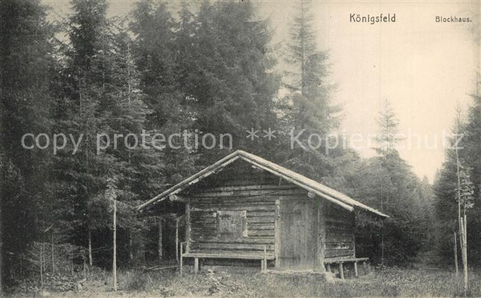 Koenigsfeld Schwarzwald Blockhaus