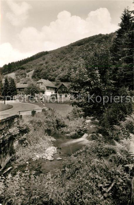 Loecherberg Hotel Restaurant Haus Schwarzwald Idyll Partie am Bach