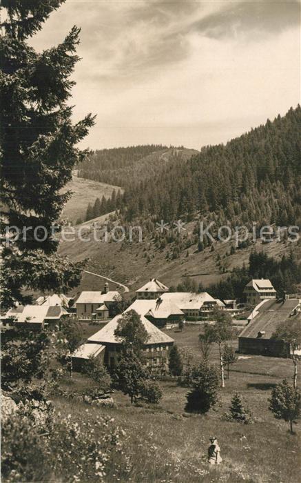 Menzenschwand Teilansicht Schwarzwald