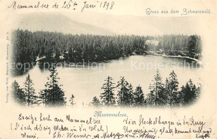 Mummelsee Panorama mit Blick auf Hotel Schwarzwald
