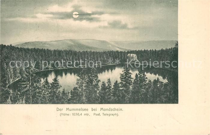 Mummelsee Panorama mit Blick auf Hotel Schwarzwald im Mondschein