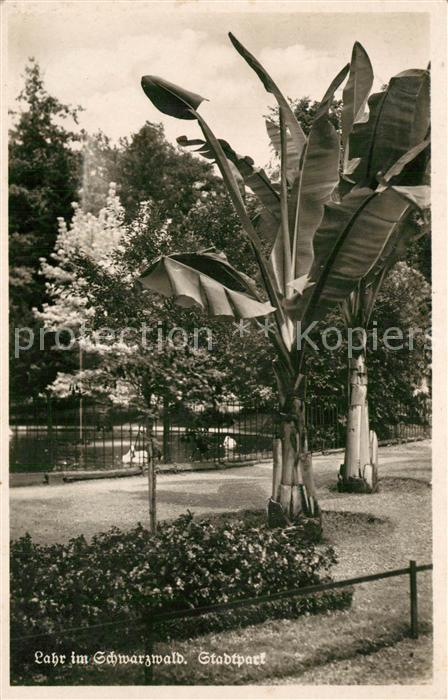 Lahr Baden Partie im Stadtpark