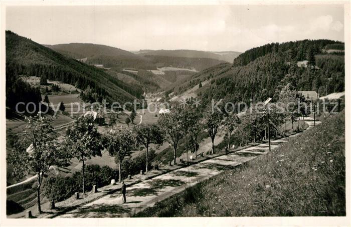 Nussbach Schwarzwald Panorama Blick ins Nussbachtal
