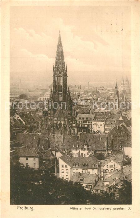 Freiburg Breisgau Stadtbild mit Muenster vom Schlossberg aus gesehen Veltens Lic